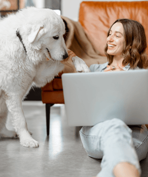 iStock-1303137299 1